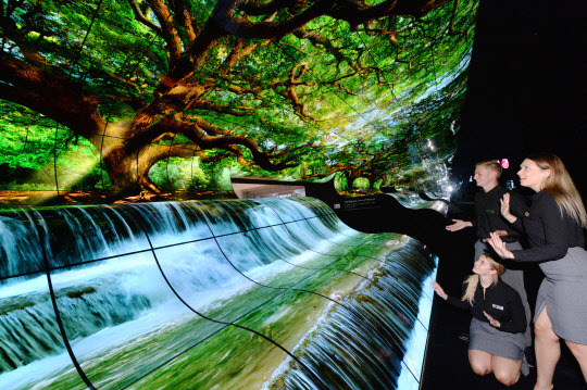 모델들이 LG전자 전시관 입구에 조성된 '올레드 폭포' 조형물의 압도적 화질을 감상하고 있다. 이 조형물은 올레드 플렉서블 사이니지 260장을 이어 붙여 만들어 대자연의 웅장함을 실감나게 표현했다.  LG전자 제공